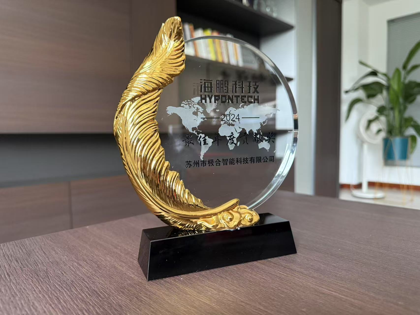 DG视讯 · 璀璨荣誉 | 携手共进，共创鲜丽！